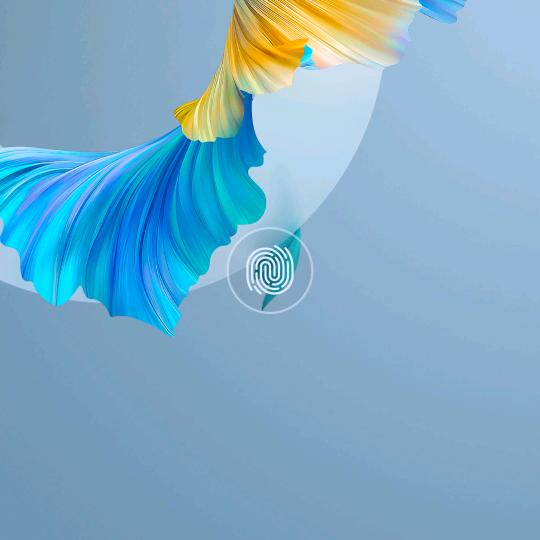 何须再见—四哥