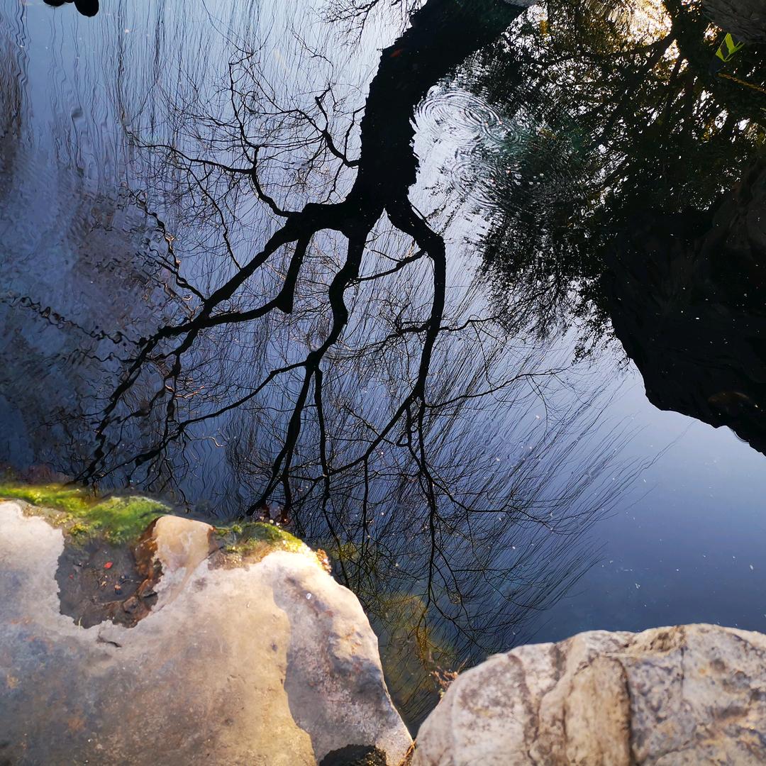 向往内心的自由
