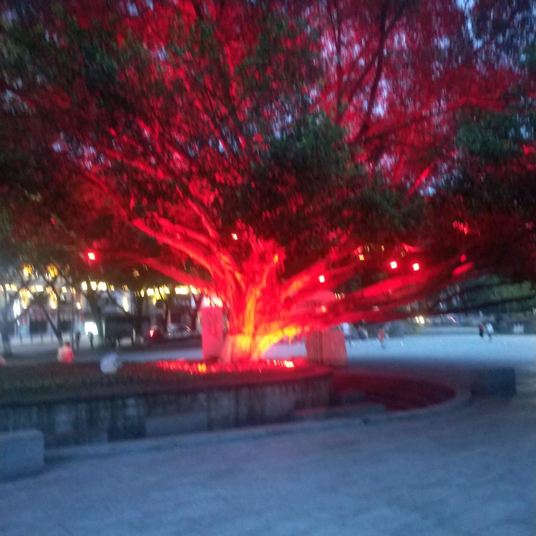 🍎雷