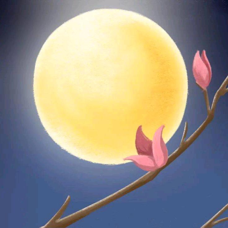 清风豆豆