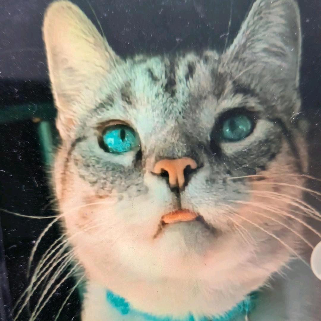 （🌹宠你.爱你.疼你.幸福一辈子🌹）