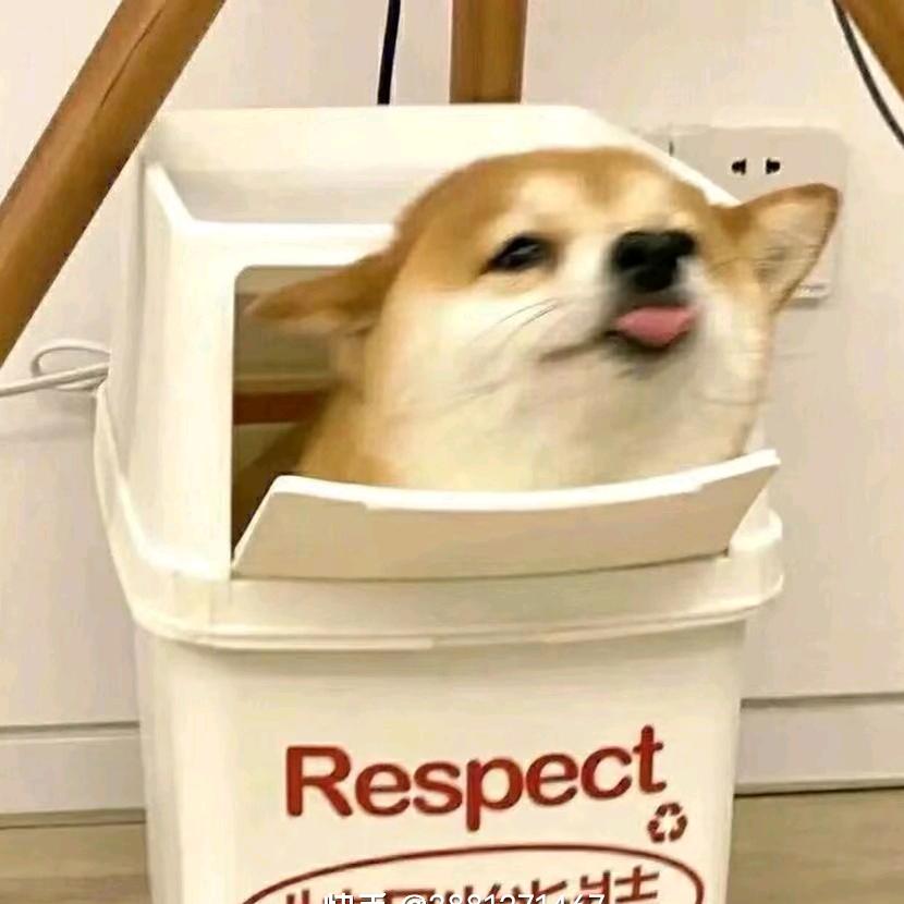 修竹
