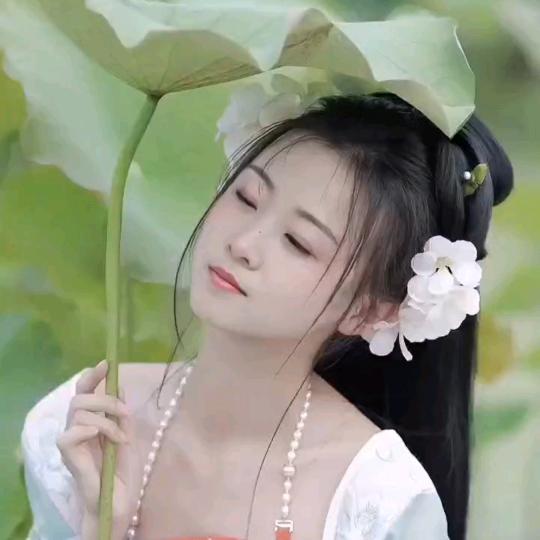 柴💞柴এ