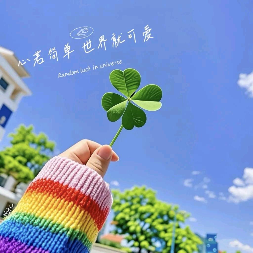 柒🎋⁶¹⁶¹
