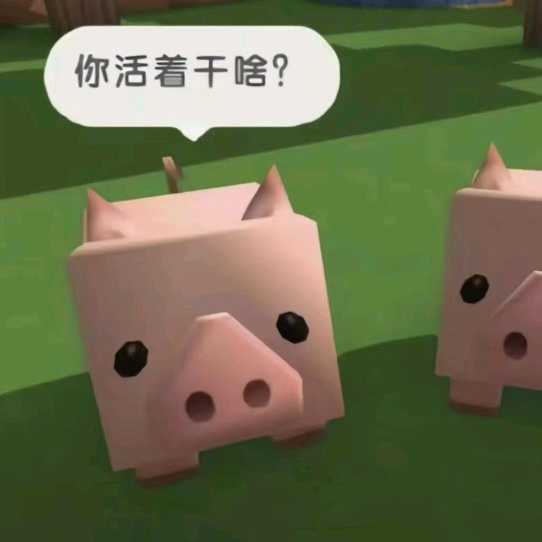 管我叫小帅