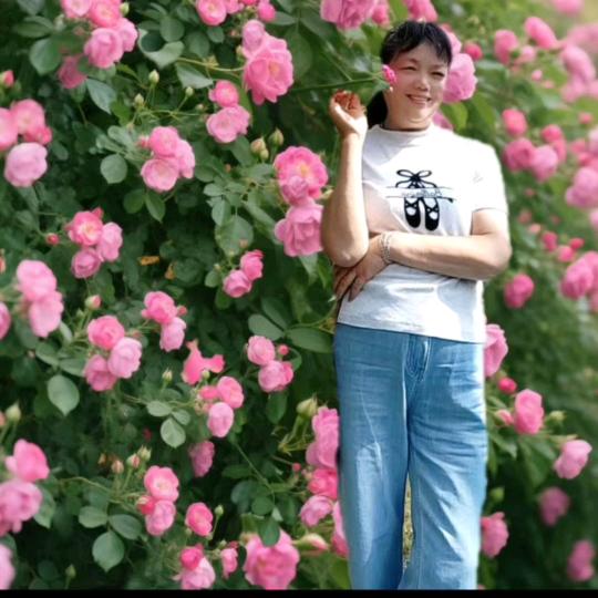 英子(不要连赞)