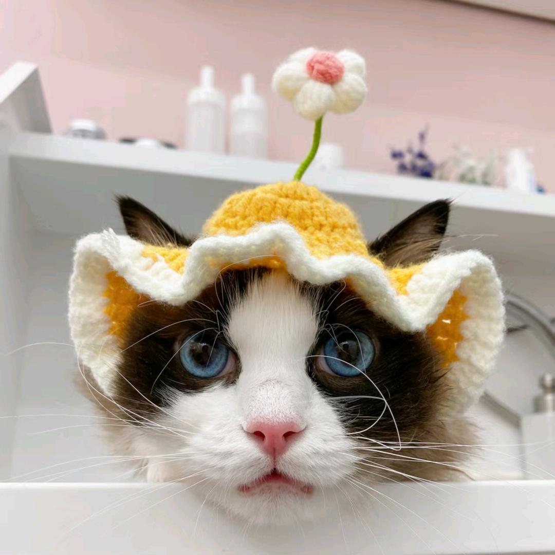 只只