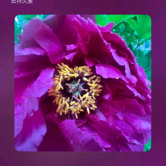 心💑想💏事💑成