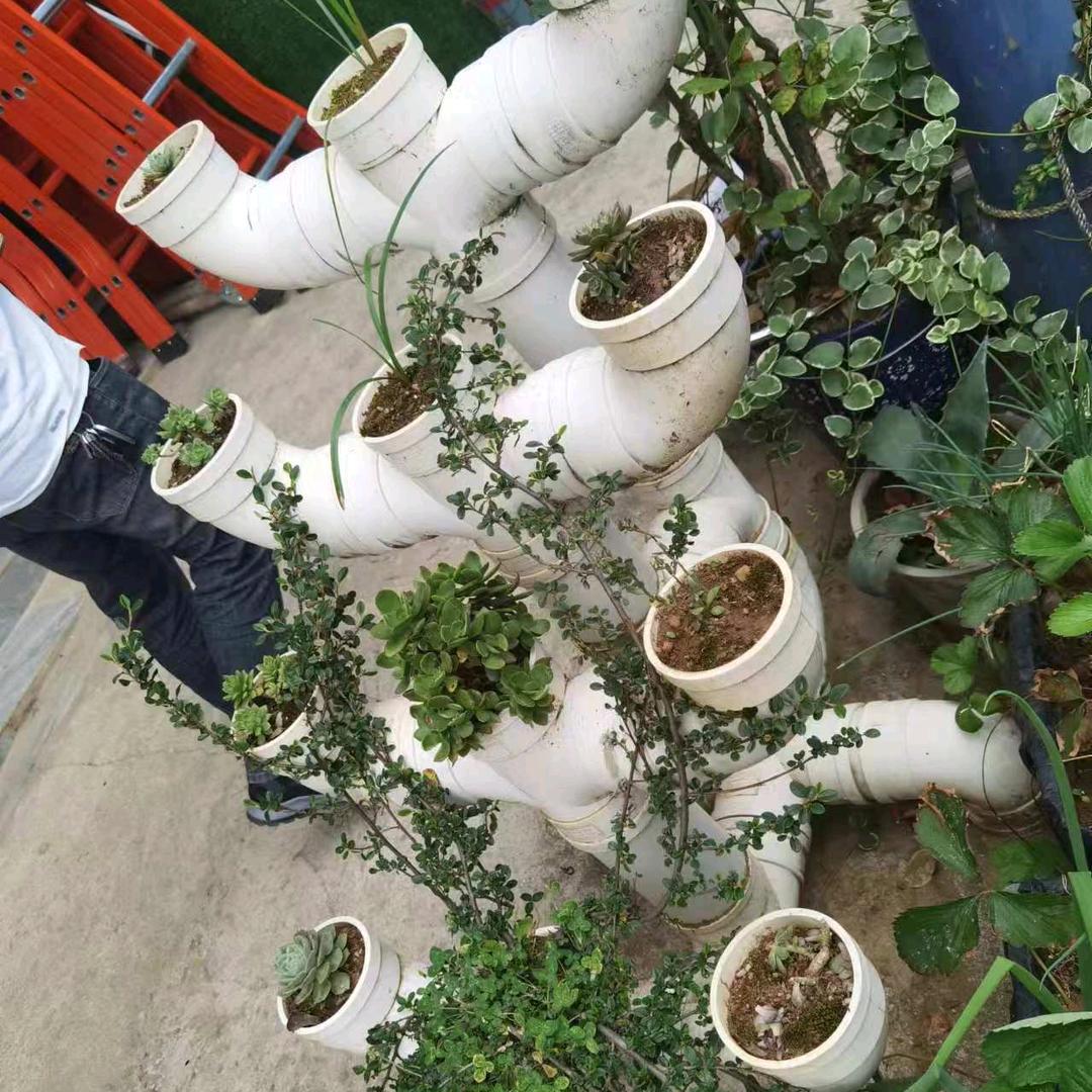 凤求凰，小勇教育工作者