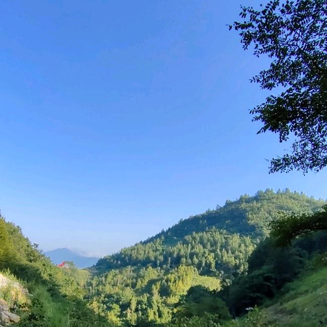 ✿ོ情深̶̶ོོོོ͜致ོ命