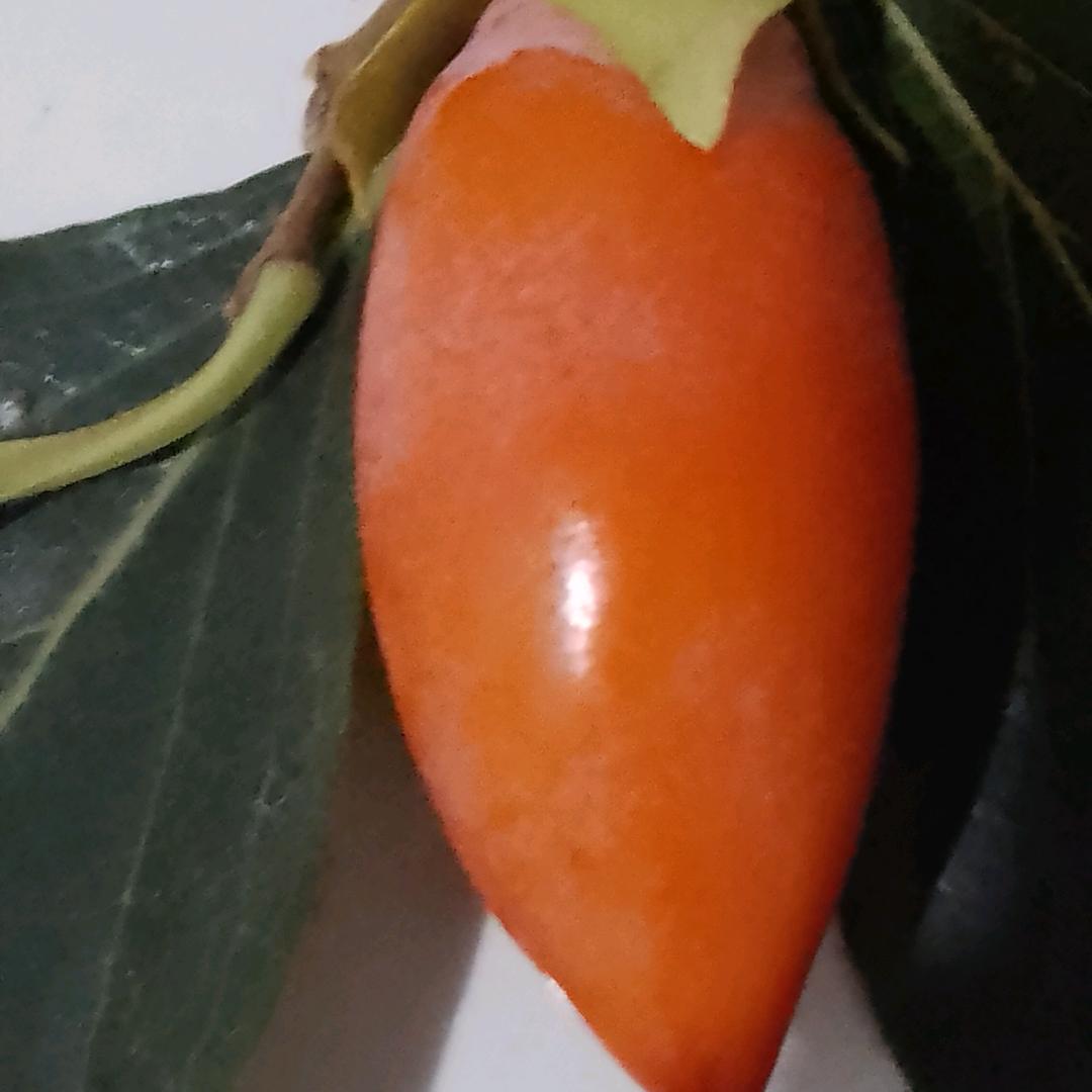 粮食购销  解丰墩