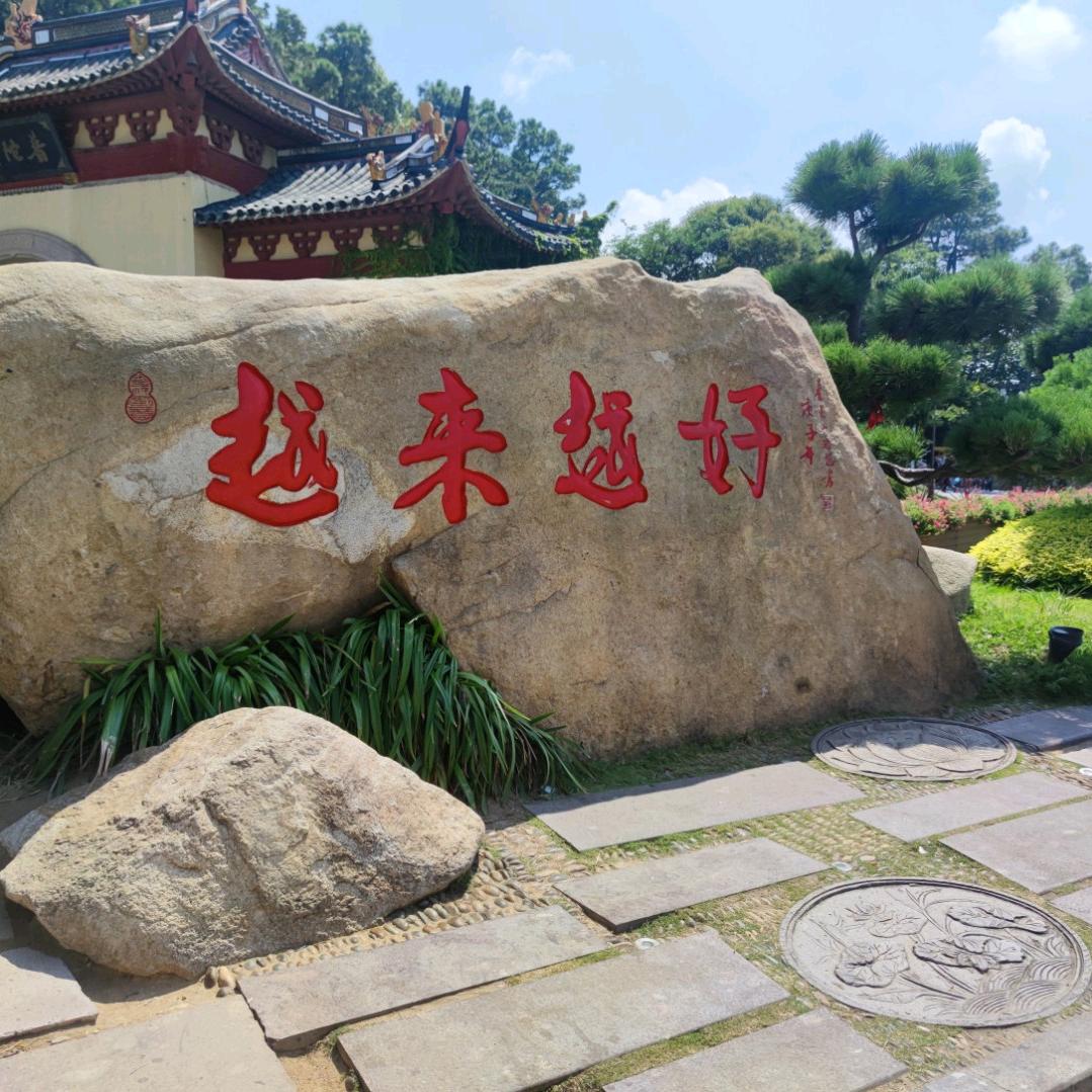 💰💰财源滚滚🏠🏡🏘