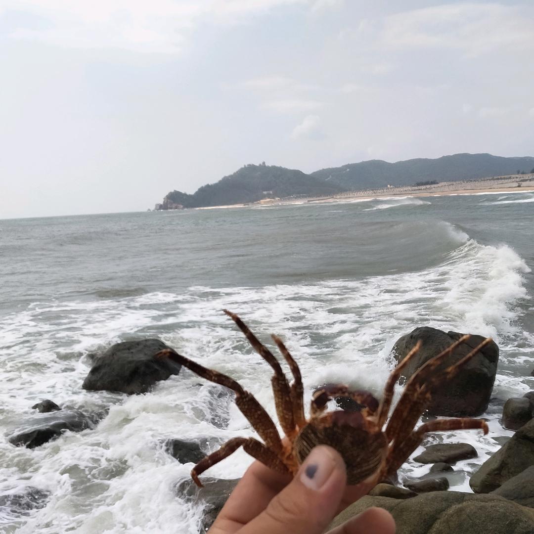 面朝大海，春暖花开