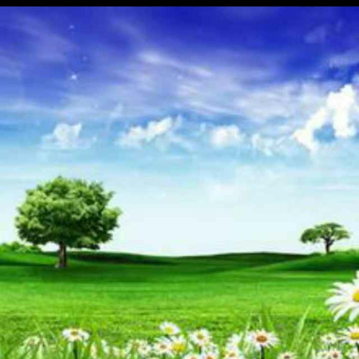 顺其自然度余生✨