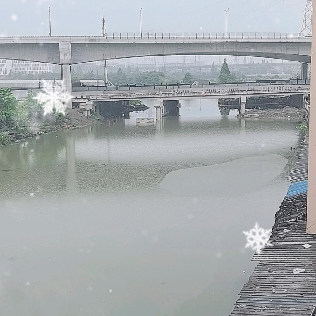 孤独的人生