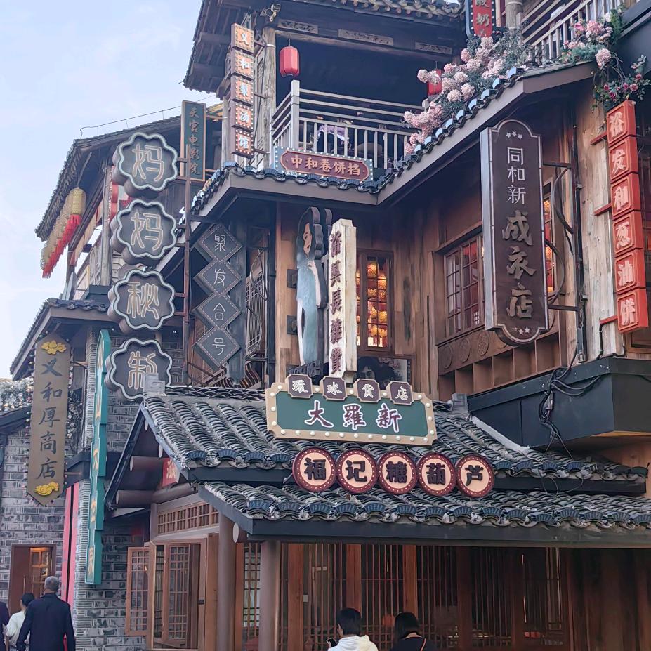 会飞的鱼