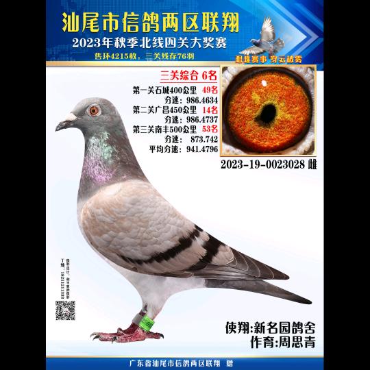 新名园鸽舍－周思青