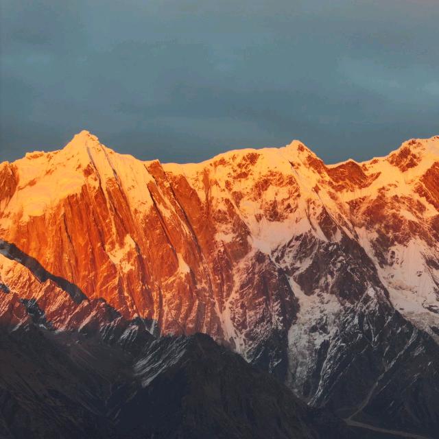 没有一记RKO不能解决的烦恼