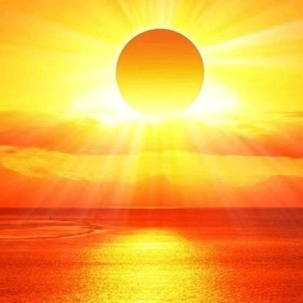 🪷悦娆413131🪷人间清醒雅