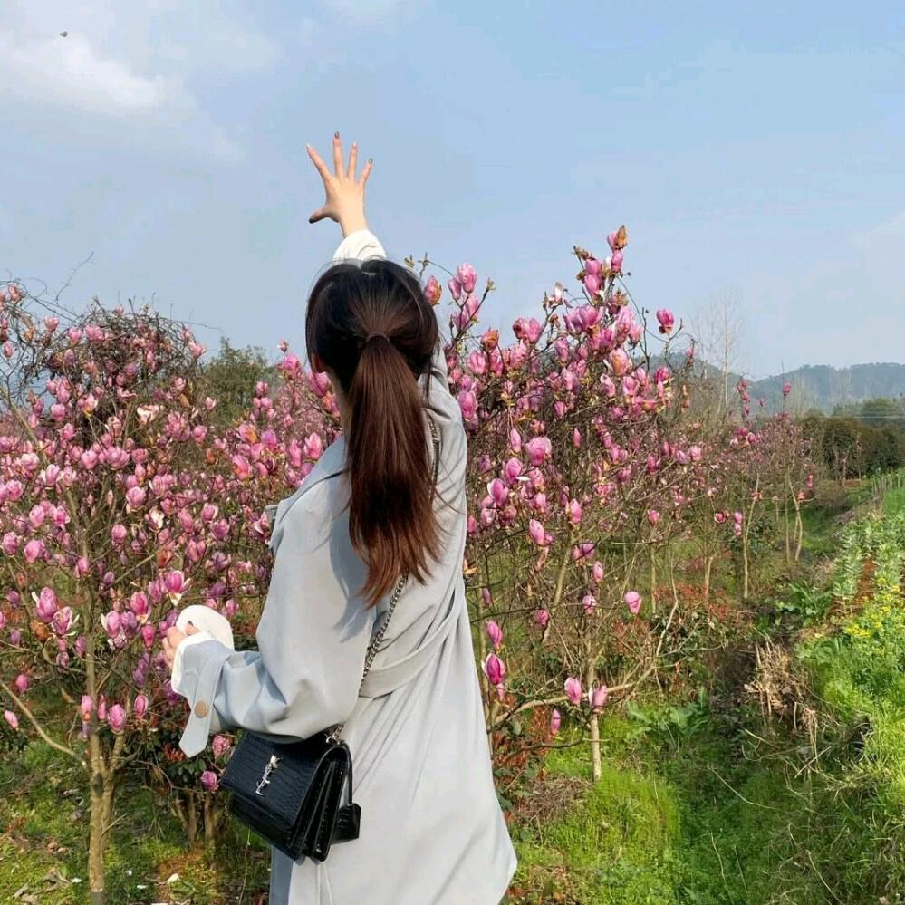 栀子花💋