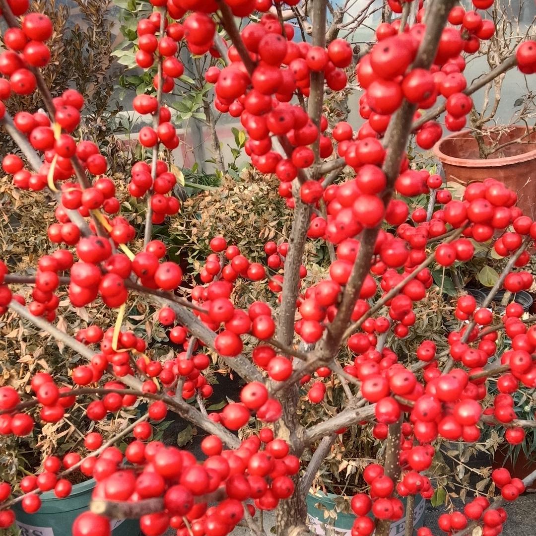 静而不争，万般随缘。