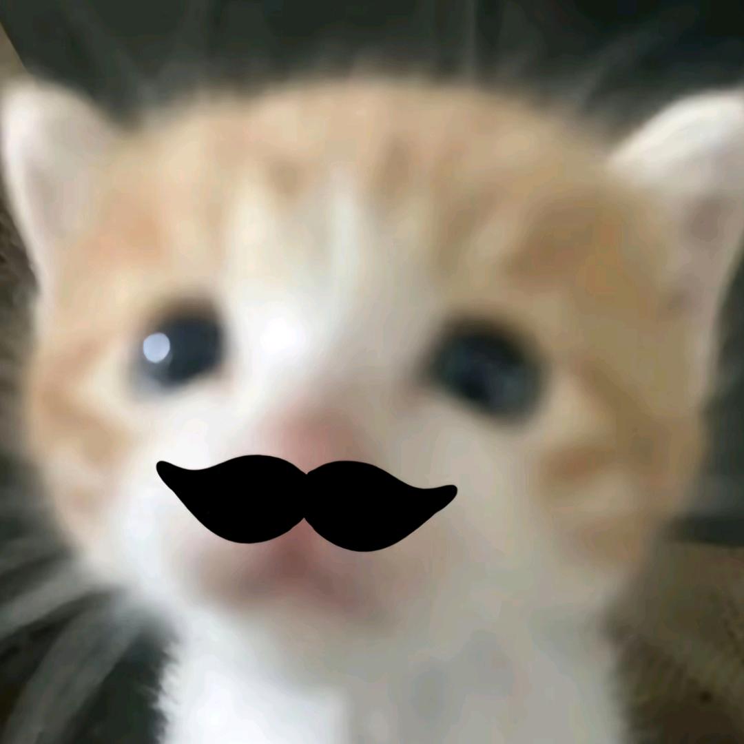 凉小玉