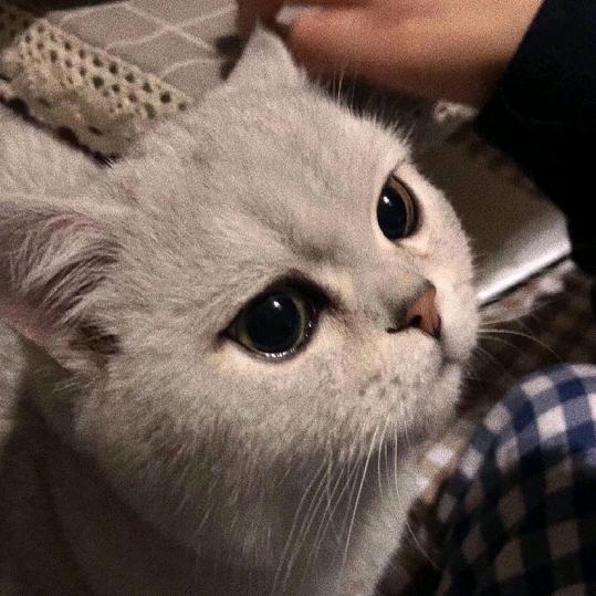内向小男孩