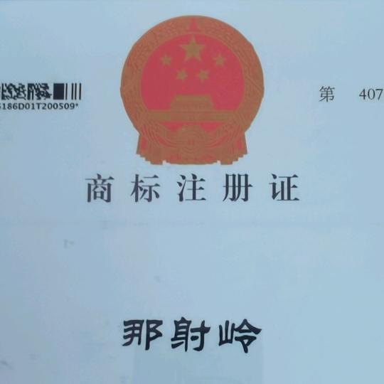 那射岭商城