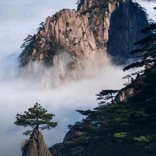 天娇之骏