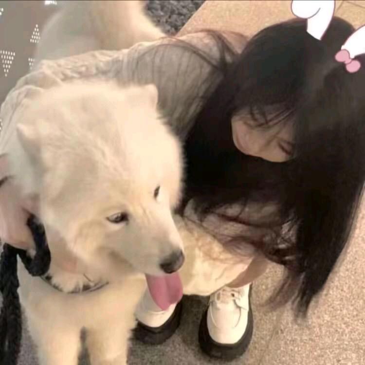 邱の烦心事