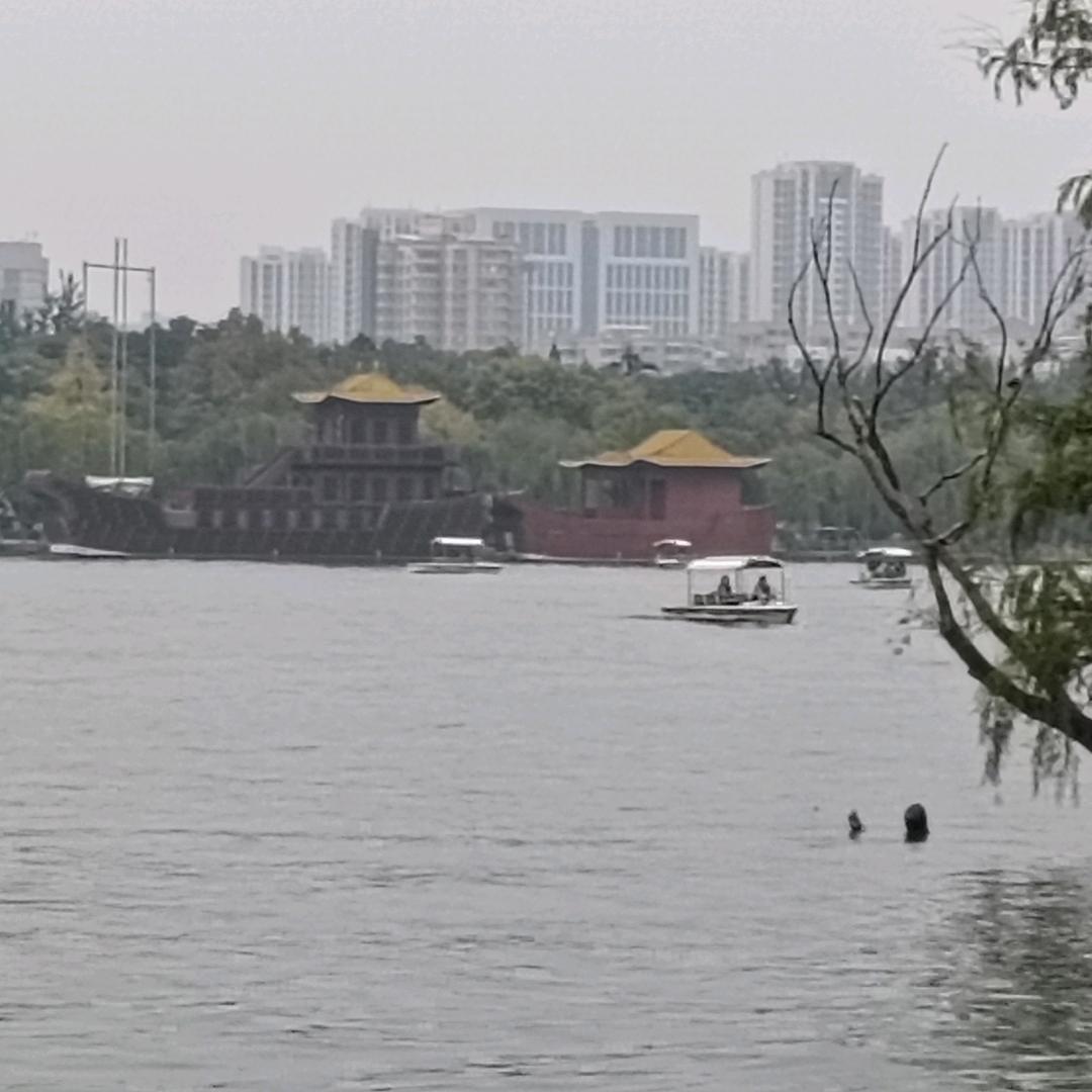 真心守护