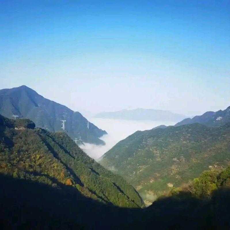 玮郸商贸