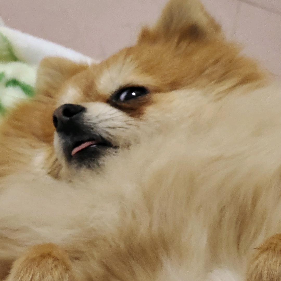 ？？