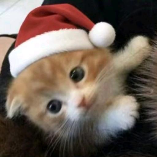 尿是膀胱的眼泪