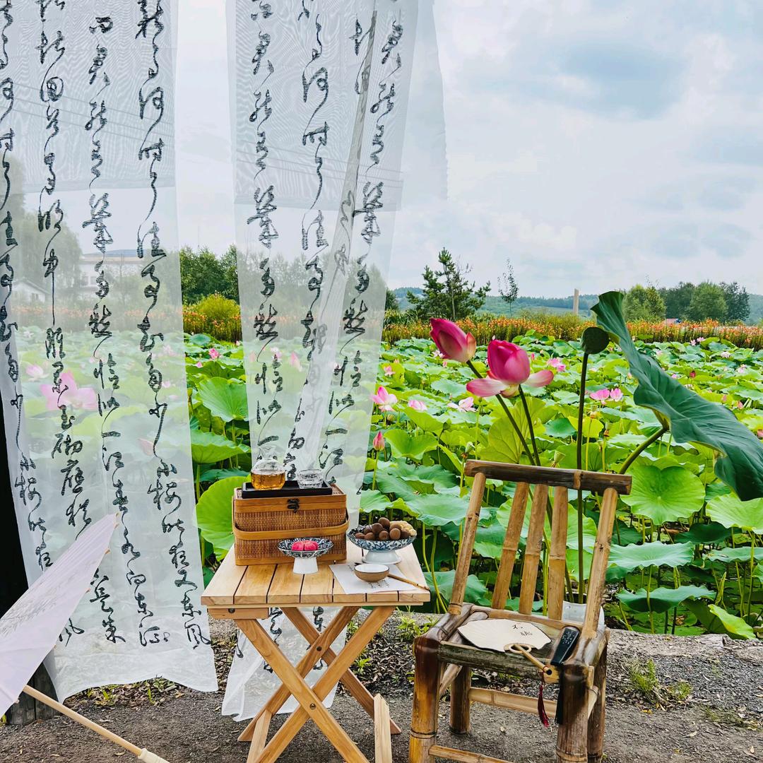 89 年的大叔 郭家荷花农家小院