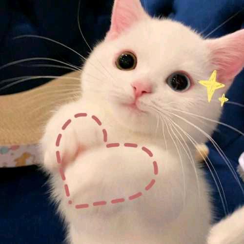 翡翠之谜