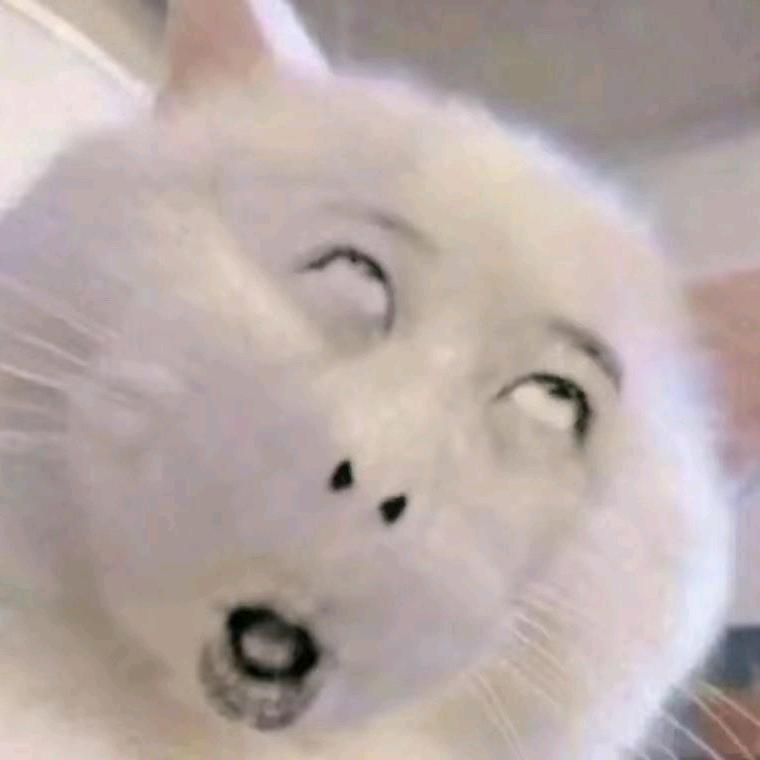 淡漠了谁的流年