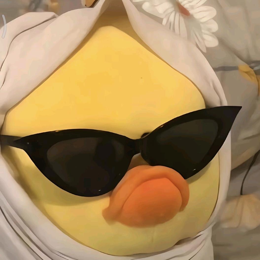 ㅤㅤㅤ    ㅤ ㅤㅤ