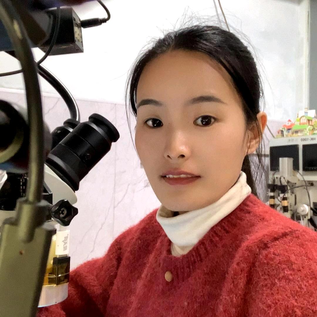 方城小马手机维修