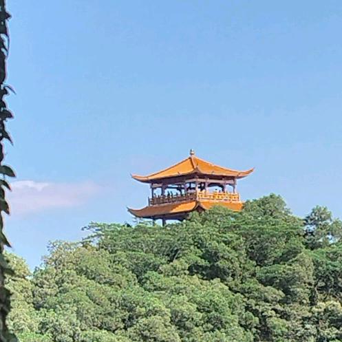 嫑搂几仔🔥