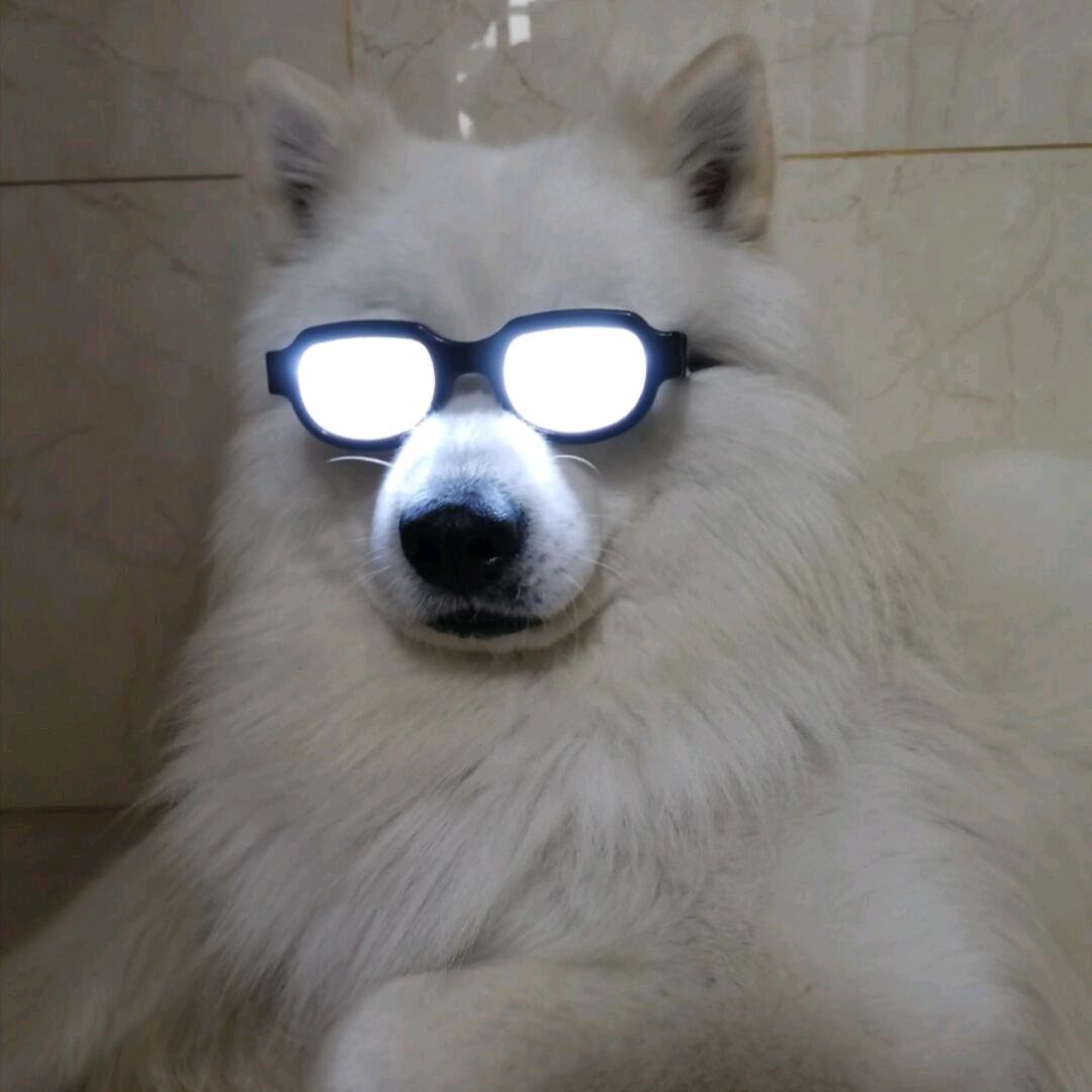 杰杰克爱吃烧烤