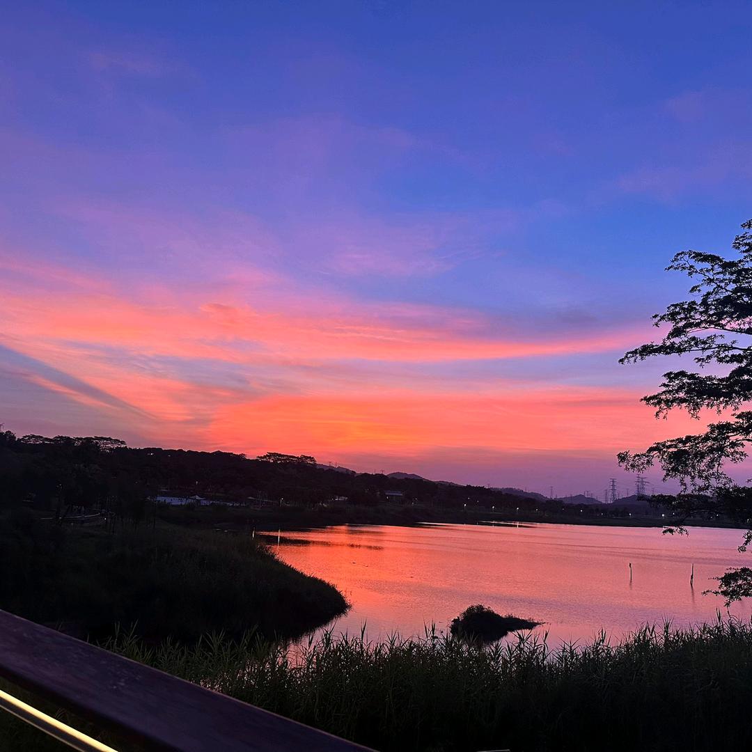 奋发有为旭日hN