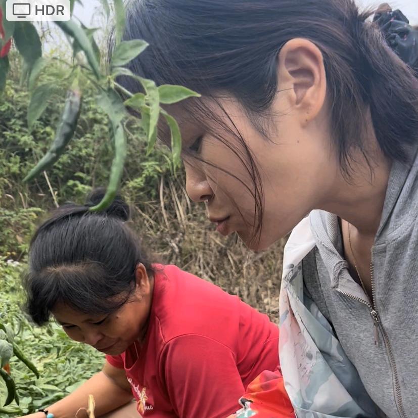 陈小妹家的农产品