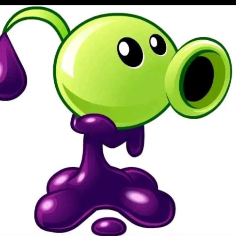 🟣🟣🟣🟣🟣🟣