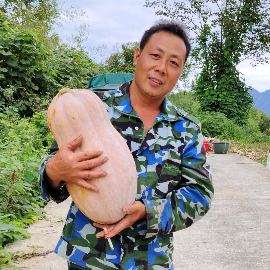 廖江龙常年收养大小狗