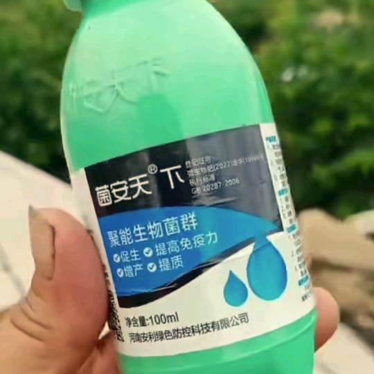 阿连农村香姐小号大号10点半开播