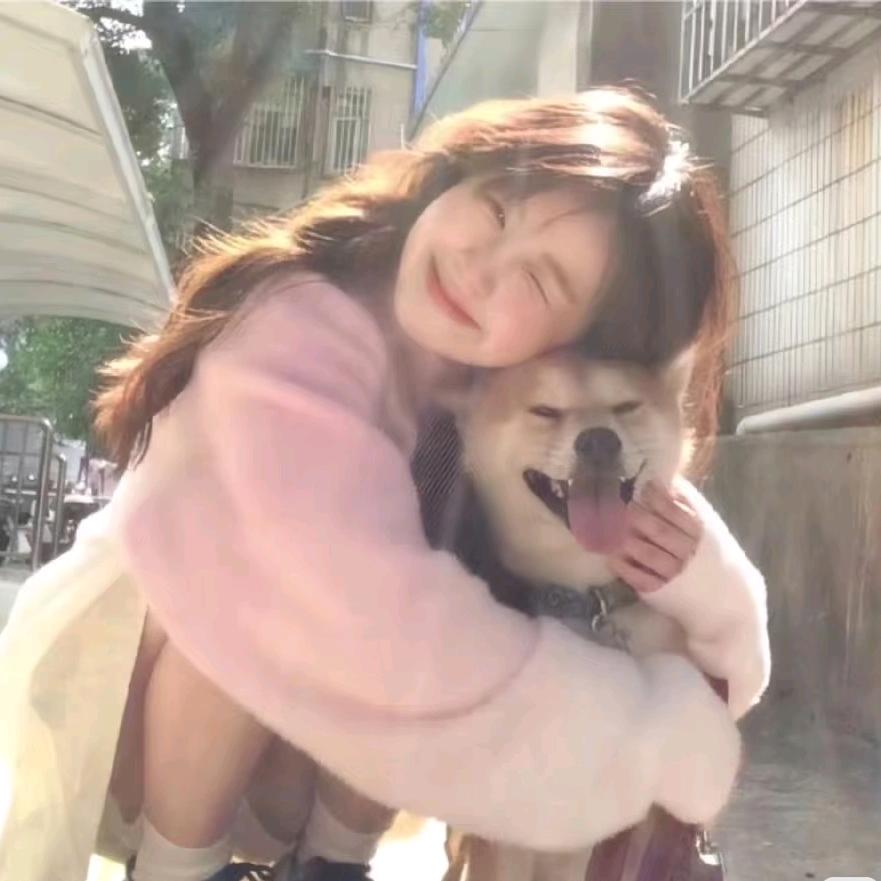 小多肉【摩托队】小号