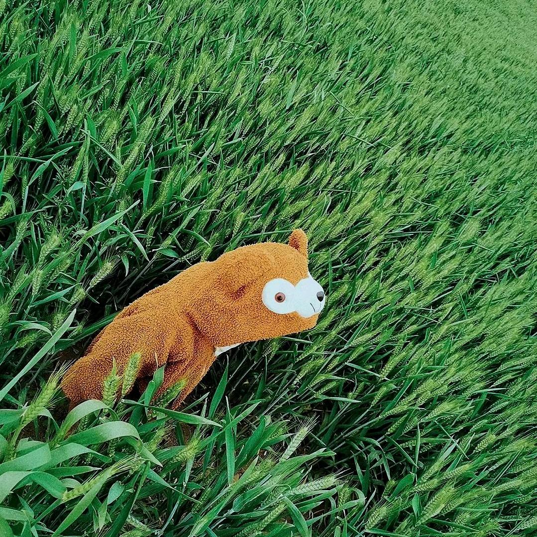 教育分享