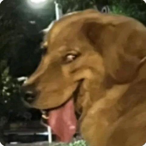 随口一说