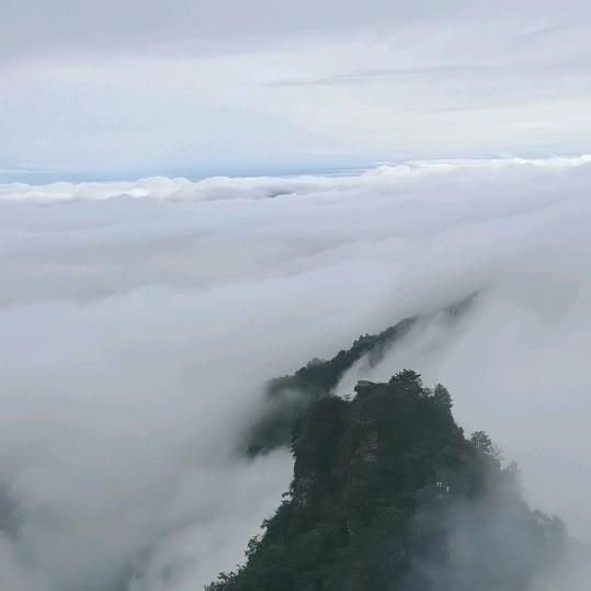 用户4932212237254顺其自然